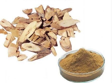 organic astragalus extract powder.png